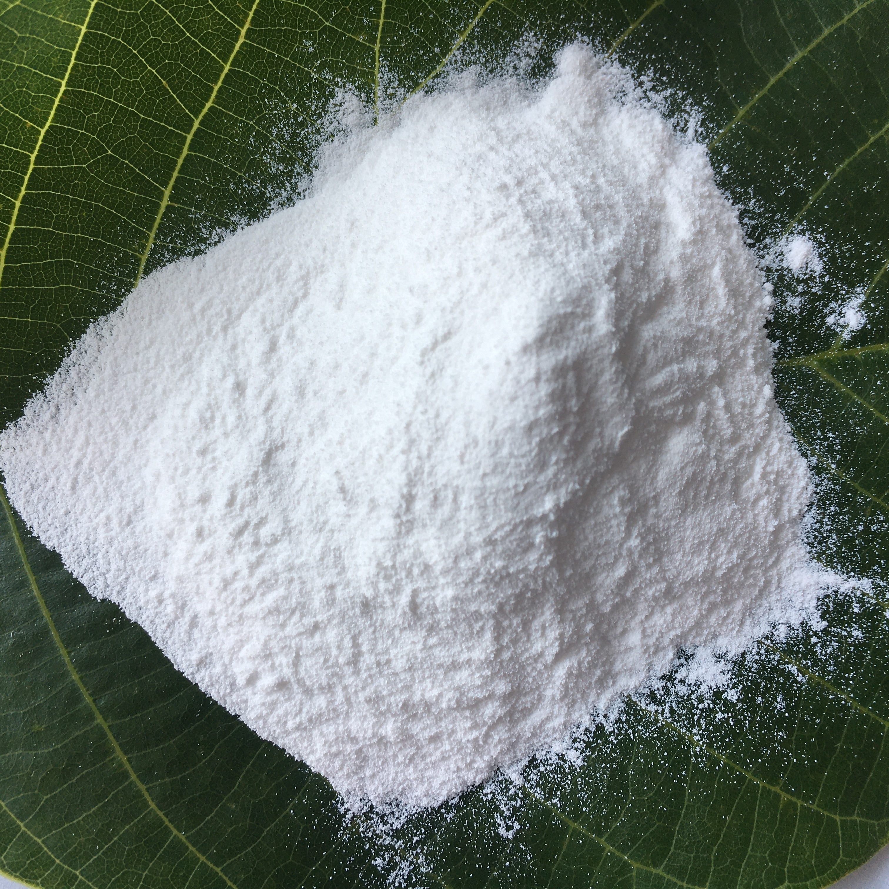 <a href='http://www.m.hmjf168.com' class='keys' title='點(diǎn)擊查看關(guān)于氧化鎂的相關(guān)信息' target='_blank'>氧化鎂</a>